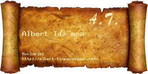 Albert Tímea névjegykártya